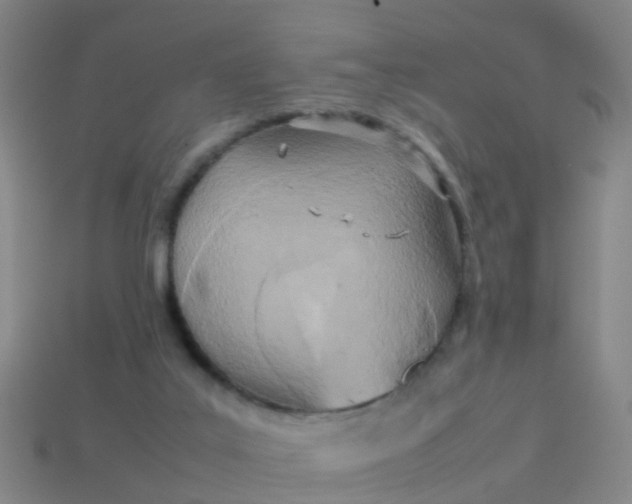 X0000114110019200910191712