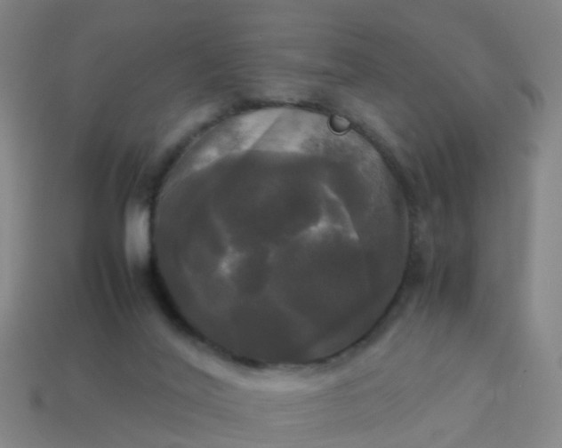 X0000114110020200910191712