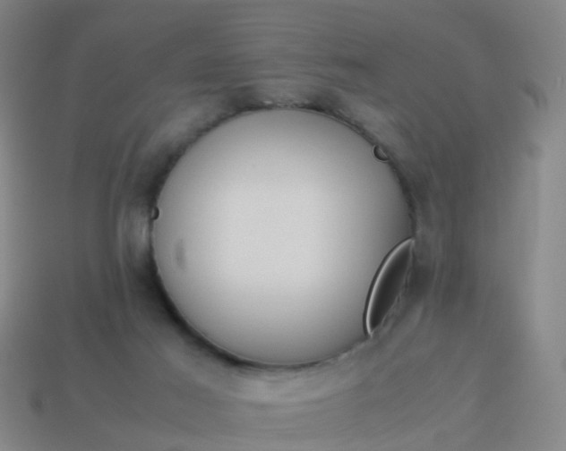 X0000114110021200910191712