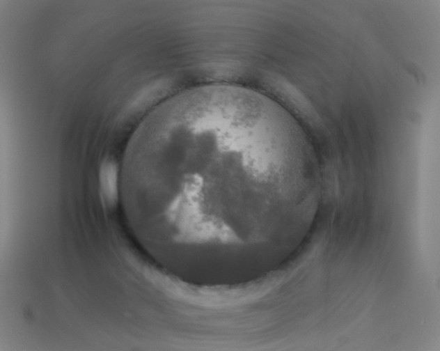 X0000114110022200910191712