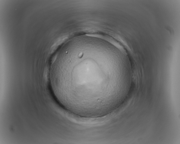 X0000114110023200910191712