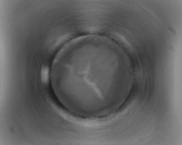 X0000114110024200910191712