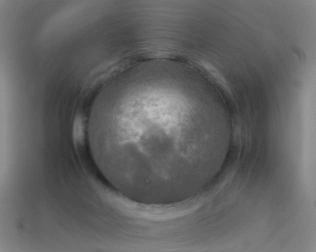 X0000114110026200910191712