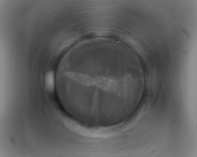 X0000114110028200910191712