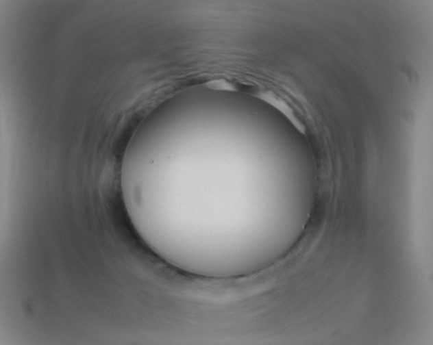 X0000114110029200910191712