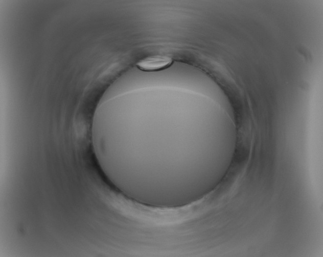 X0000114110031200910191711