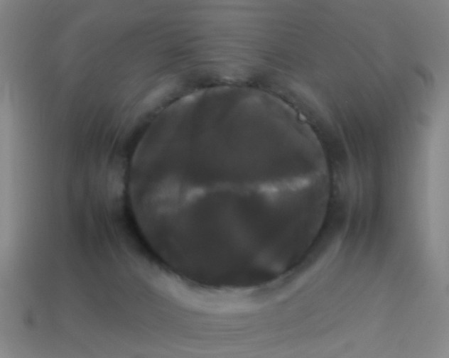 X0000114110032200910191711