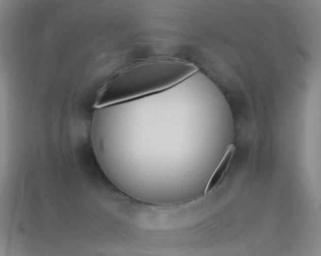 X0000114110033200910191711