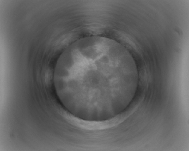 X0000114110034200910191711