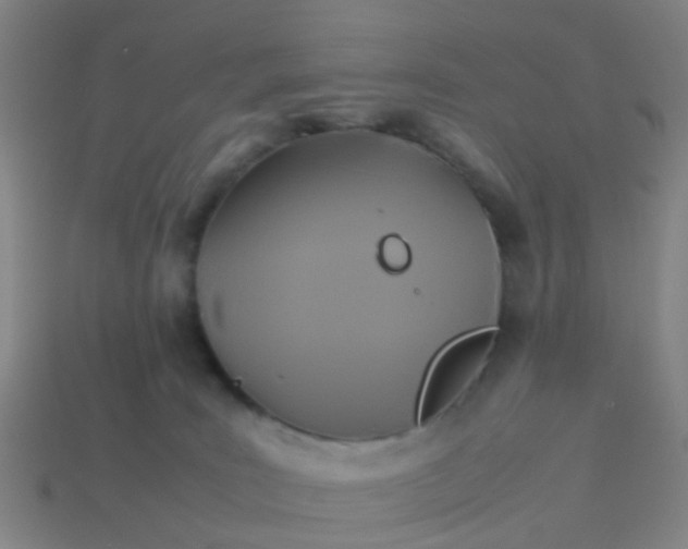 X0000114110035200910191711