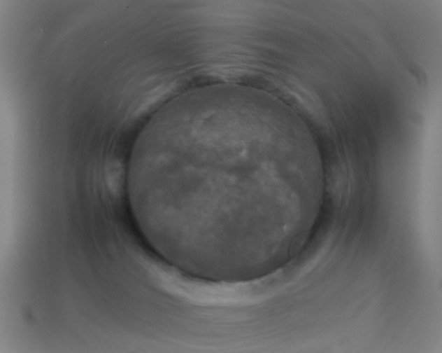 X0000114110036200910191711