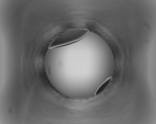 X0000114110037200910191711