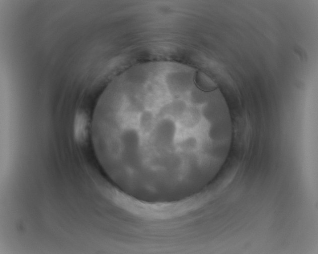 X0000114110038200910191711