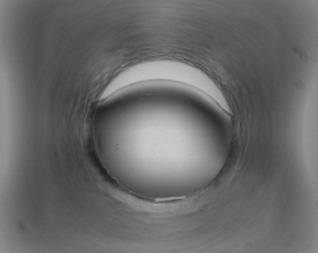 X0000114110039200910191711