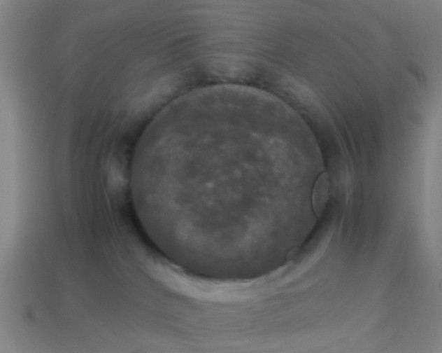 X0000114110040200910191711