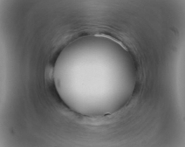 X0000114110041200910191711