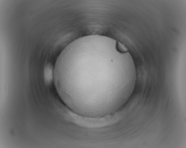 X0000114110042200910191711