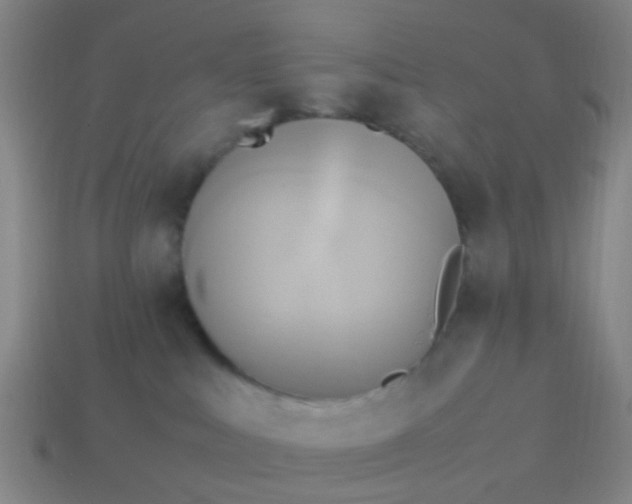 X0000114110043200910191711