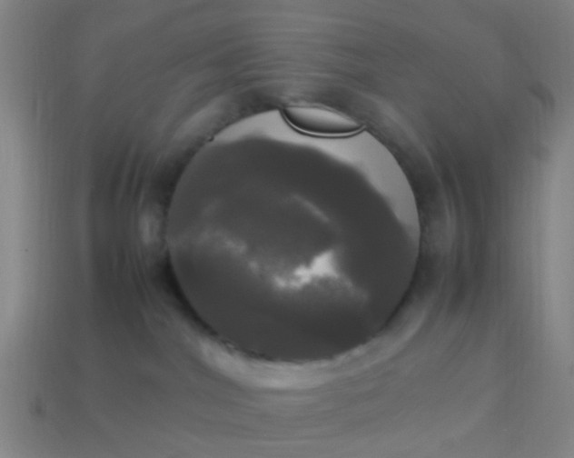 X0000114110044200910191711