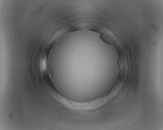 X0000114110046200910191711