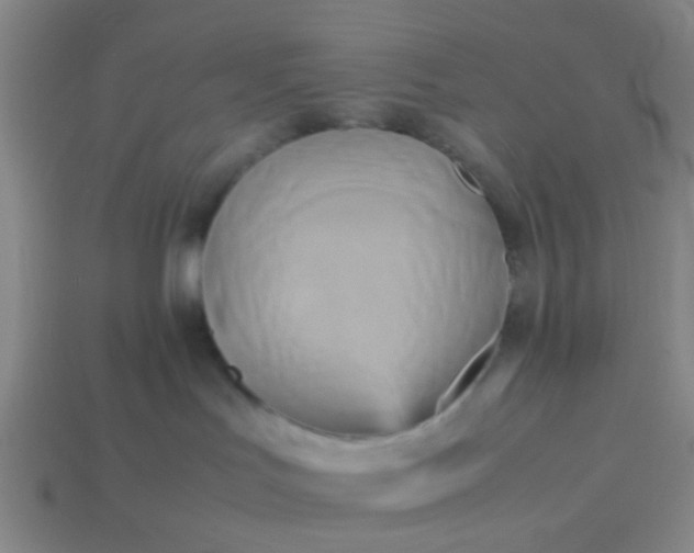 X0000114110047200910191711