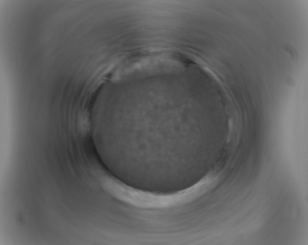 X0000114110048200910191711