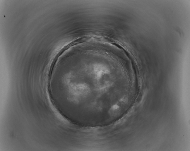 X0000114110049200910191711