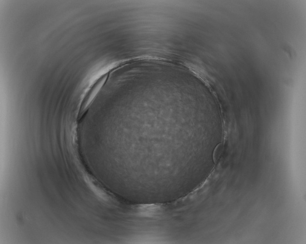 X0000114110050200910191711