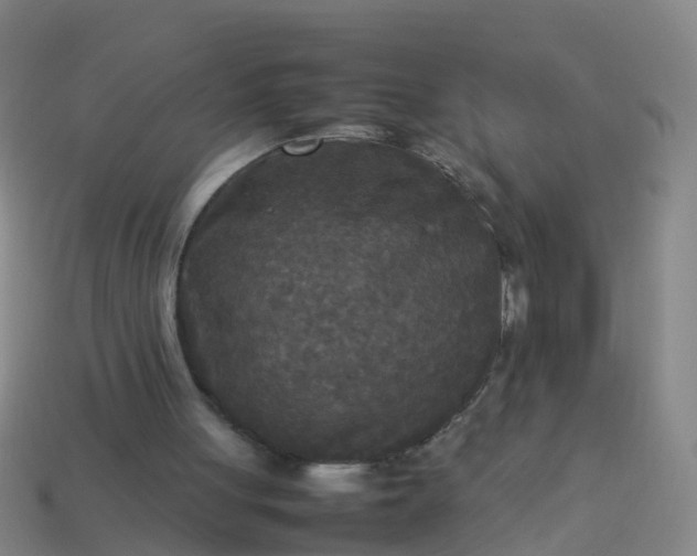 X0000114110051200910191711