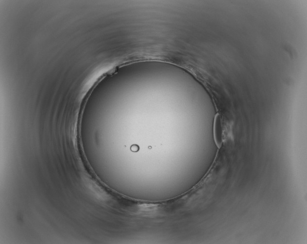 X0000114110052200910191711