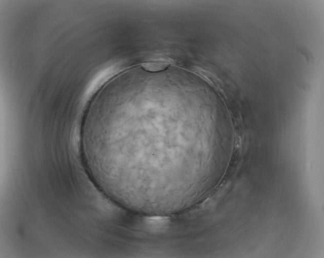 X0000114110053200910191711