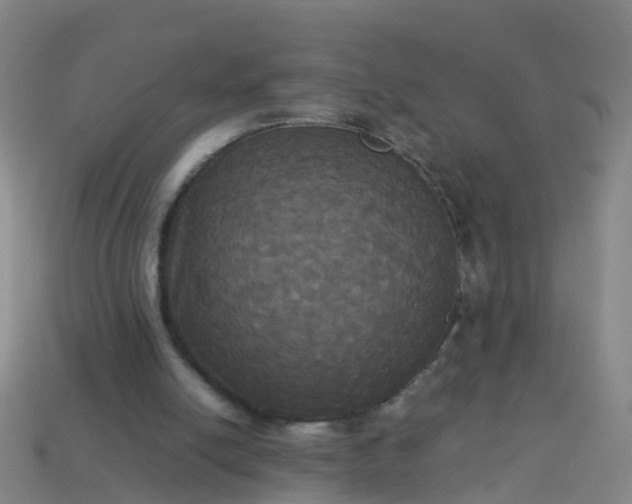 X0000114110054200910191711