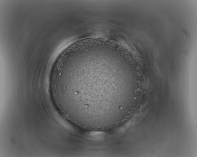 X0000114110055200910191711