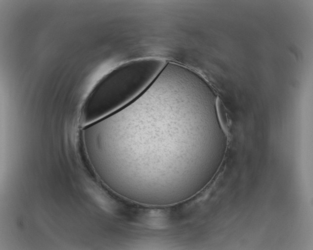 X0000114110056200910191711