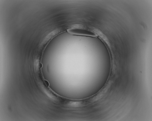 X0000114110057200910191711