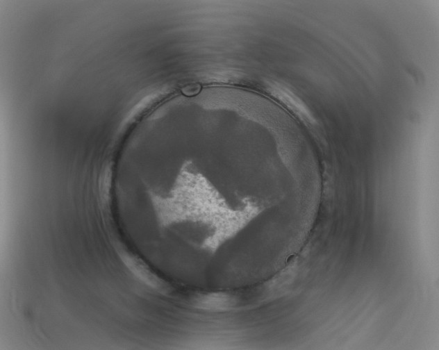 X0000114110058200910191711