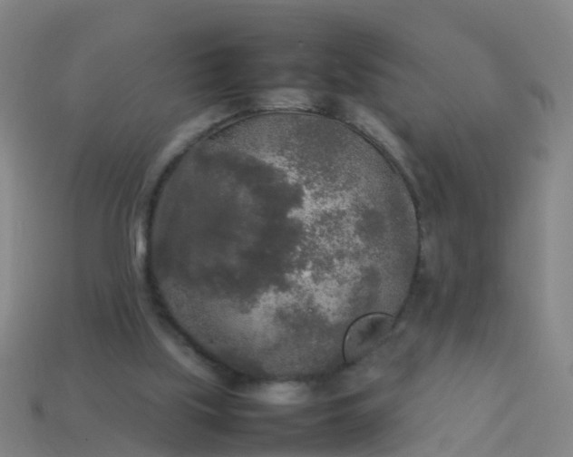 X0000114110059200910191711