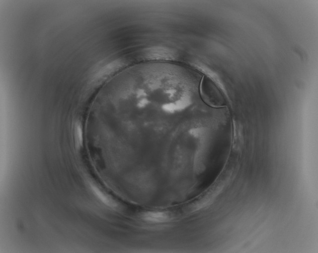 X0000114110061200910191711