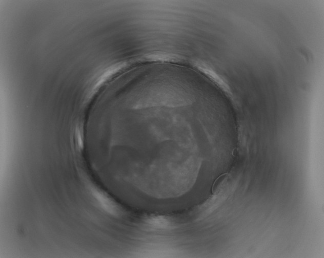 X0000114110062200910191711