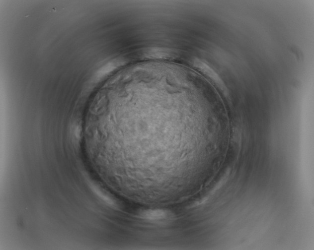 X0000114110063200910191711