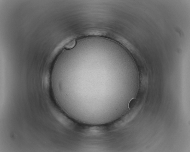 X0000114110064200910191711