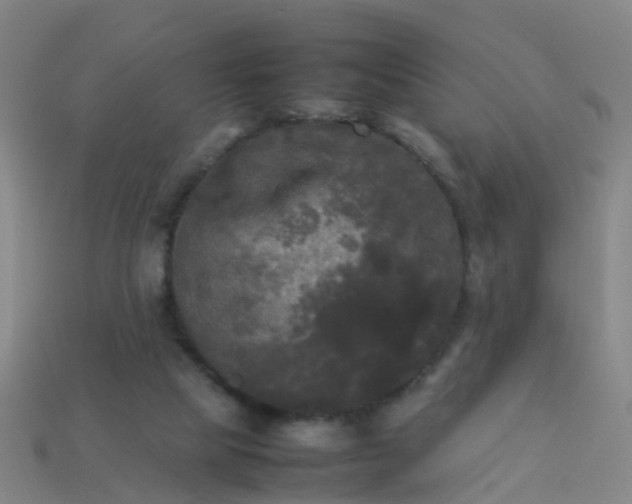 X0000114110065200910191711