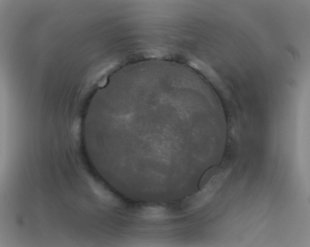 X0000114110066200910191711