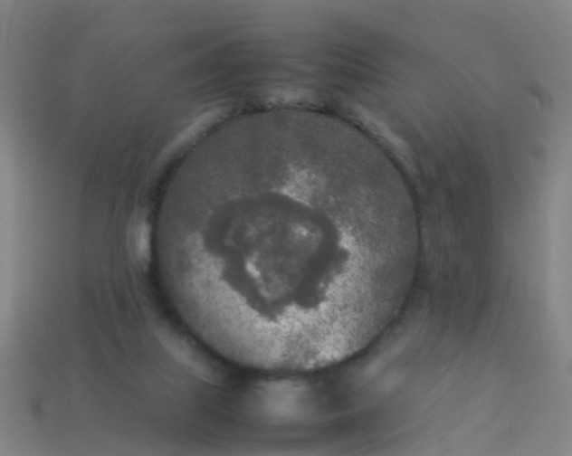 X0000114110067200910191711