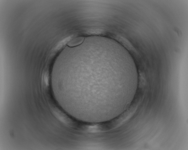 X0000114110068200910191711