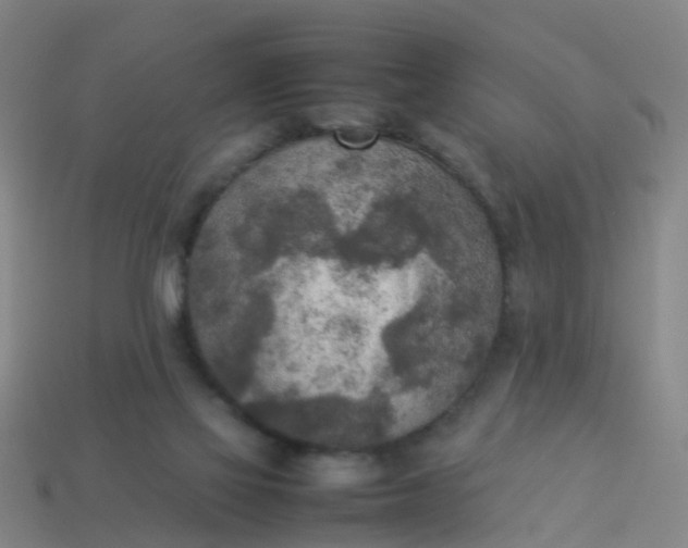 X0000114110069200910191711