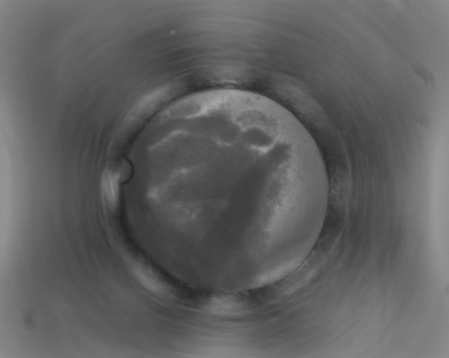 X0000114110070200910191711