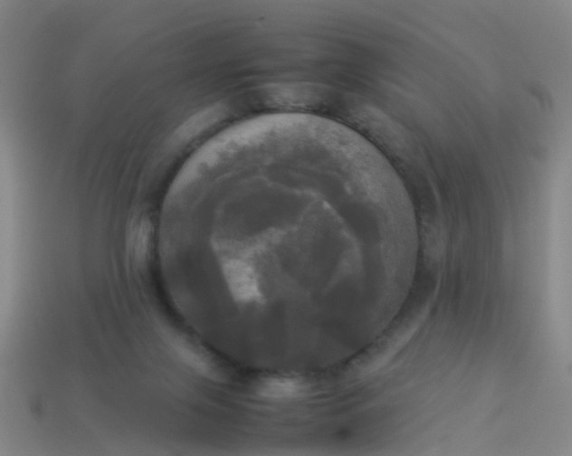 X0000114110071200910191711