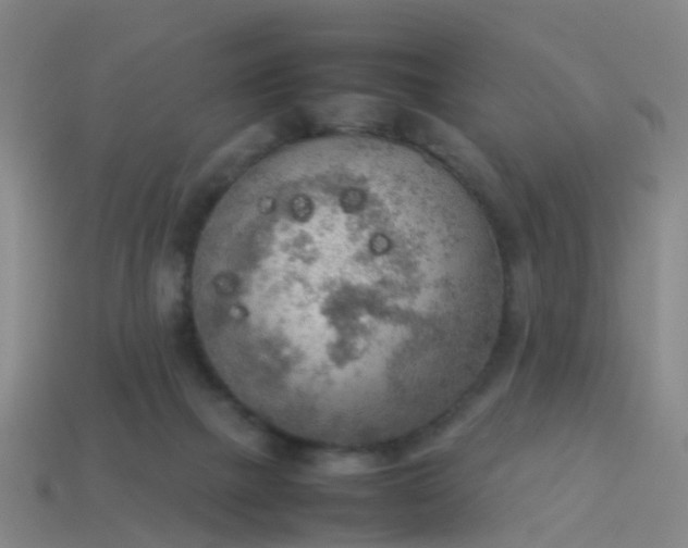 X0000114110073200910191711