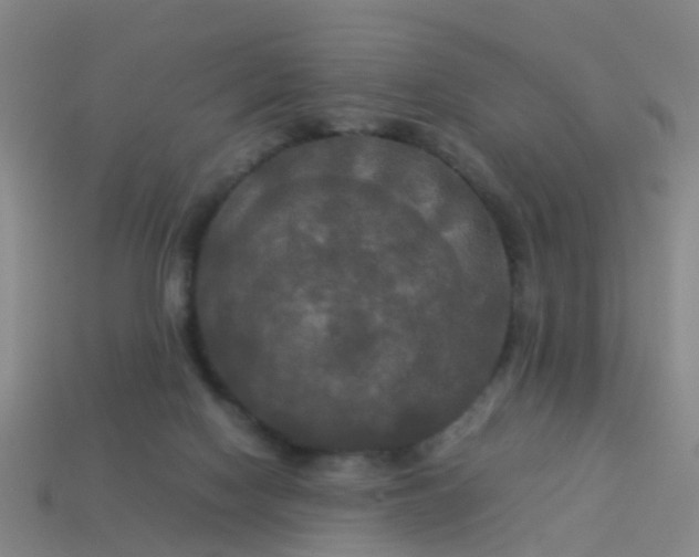 X0000114110074200910191711